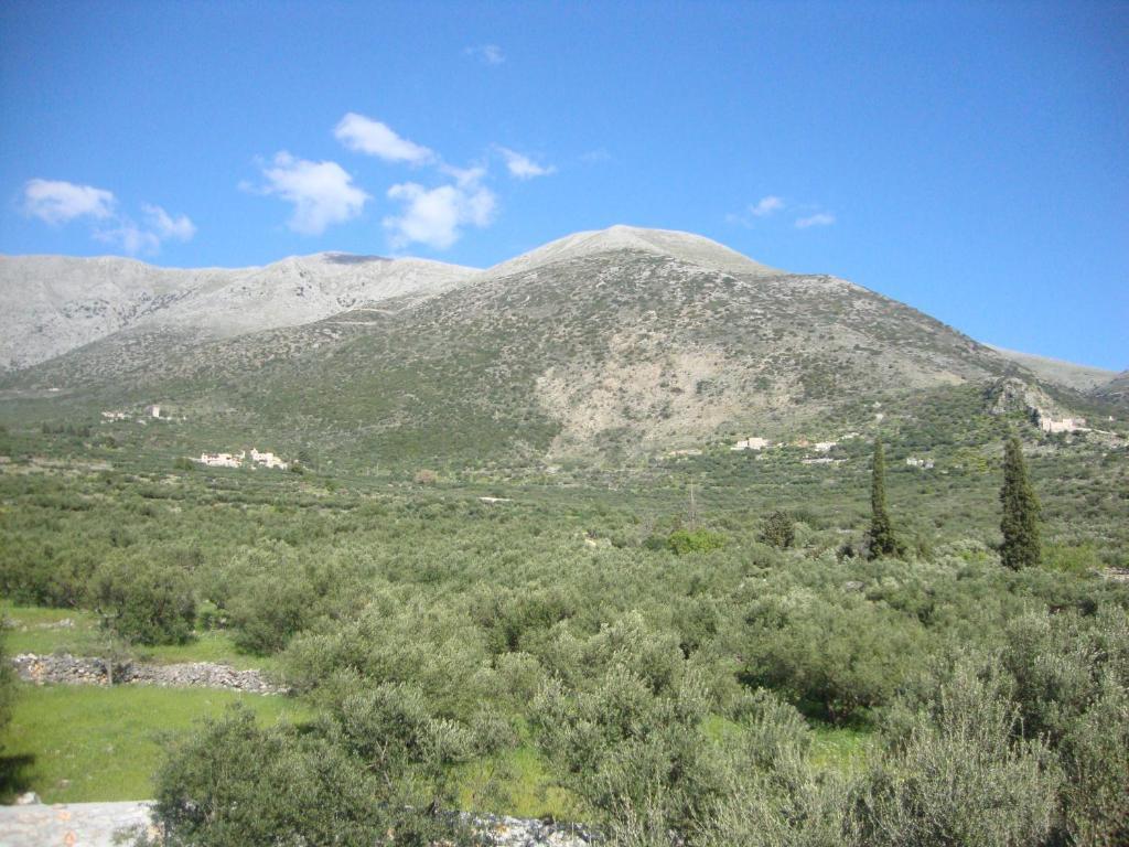 Kafiona Guesthouse Pírgos Dhiroú المظهر الخارجي الصورة